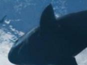 ultimas imagenes GTA5 para finalizar