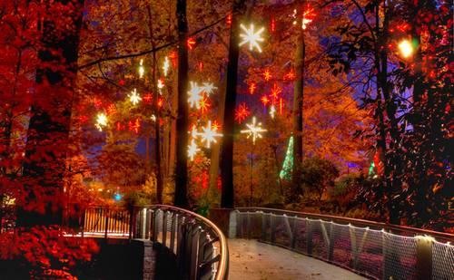 paseo-árboles-iluminados-estrellas-navidad