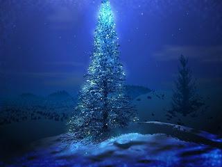 Feliz Navidad y próspero año nuevo 2013