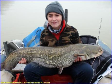 SILURO RIO EBRO SILURO RIO EBRO 640x480 SILURO PESCA EN NOCHEBUENA