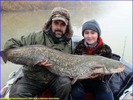GUIA DE PESCA DEL SILURO GUIA DE PESCA DEL SILURO 640x480 SILURO PESCA EN NOCHEBUENA