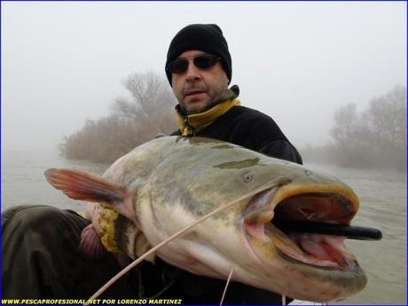 SILURO EN INVIERNO SILURO EN INVIERNO1 640x480 SILURO PESCA EN NOCHEBUENA