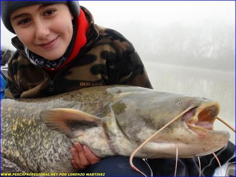 SILURO A SPINNING SILURO A SPINNING 640x480 SILURO PESCA EN NOCHEBUENA
