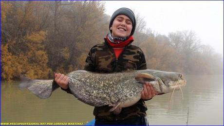 PESCA DEL SILURO2 SILURO PESCA EN NOCHEBUENA