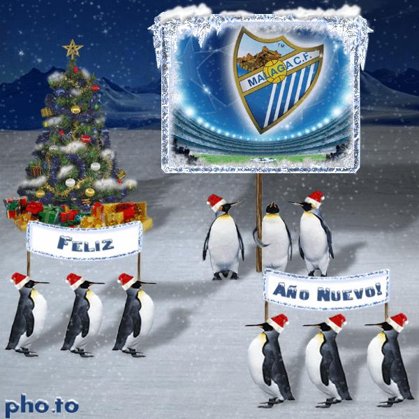 Image and video hosting by TinyPic