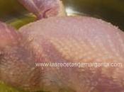 Perdiz uvas
