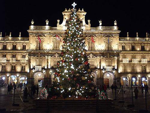Disfruta de la Navidad