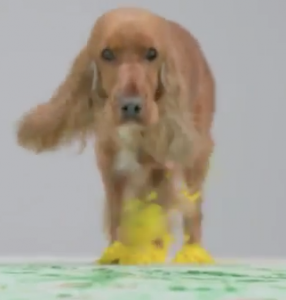 Captura de pantalla 2012 12 25 a las 23.17.23 286x300 Un mensaje de Navidad de las mascotas sin hogar