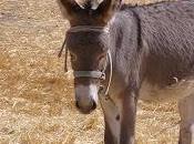 Manual planificación participativa áreas protegidas