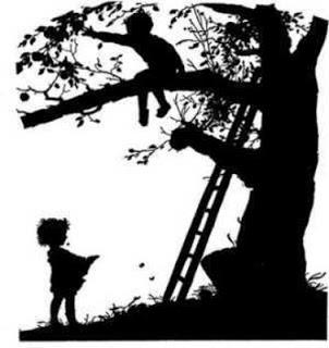 THE NEW RAEMON / TREPAR A UN ÁRBOL