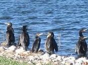 Yayo Chamin paseando parque Plaza, Zaragoza (Parte