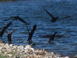Yayo Chamin paseando por el parque de Plaza, en Zaragoza (Parte 1).