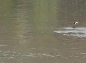 Paseando Ebro Yayo Chamin.