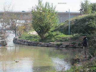 Paseando por el Ebro (V) con Yayo Chamin.