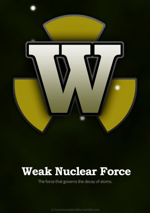 tumblr mdbo7jyh  OU1qe649zo3 500 Las 4 fuerzas fundamentales