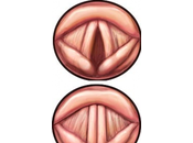 Aprender cantar: funcionamiento