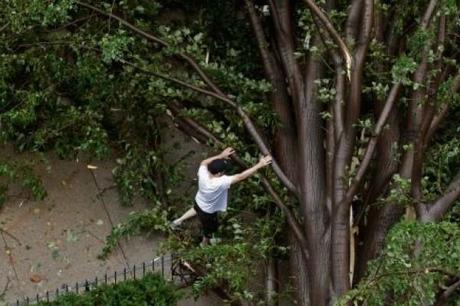 Encontró a su mujer teniendo sexo con otro y se mudó a la casa de árbol