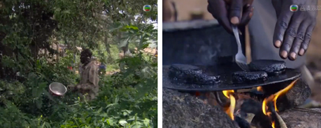 Hamburguesas de mosquitos ¿Te comerias una? – OTRAS NOTICIAS hamburguesas de mosquito