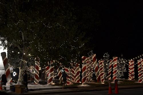 Entrevista a Susan Walters