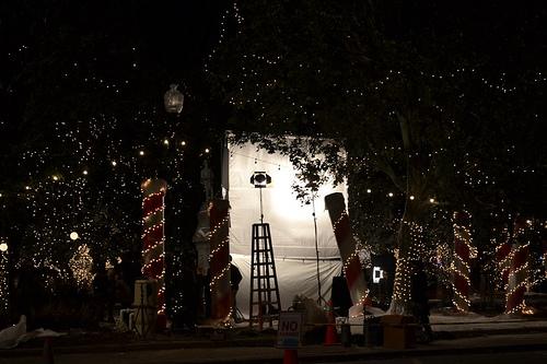 Entrevista a Susan Walters