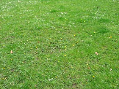 DIVAGACIONES DE UN FIN DE AÑO