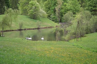 DIVAGACIONES DE UN FIN DE AÑO