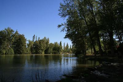 DIVAGACIONES DE UN FIN DE AÑO