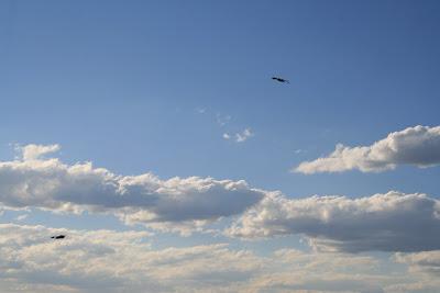 DIVAGACIONES DE UN FIN DE AÑO