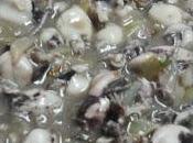 Receta chipirones salsa