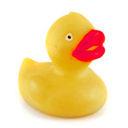 CURIOSIDADES EL CANARIO