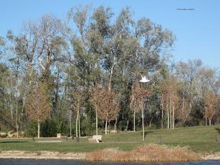 Yayo Chamin paseando por el parque de Plaza, en Zaragoza (Parte 2).