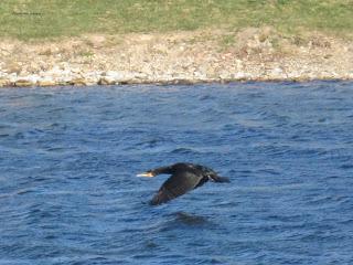 Yayo Chamin paseando por el parque de Plaza, en Zaragoza (Parte 2).