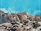 Hookworms Kogumaza Split (Gringo Records, 2012)