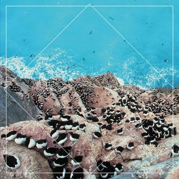 Hookworms –  Kogumaza Split (Gringo Records, 2012)