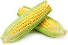 Organic Corn