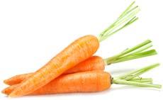 Carrots are delicious