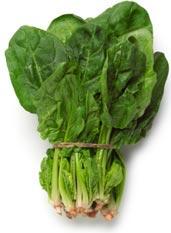 Spinach Folic Acid Food