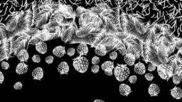 Una tienda de sueños