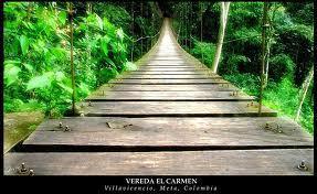 puente colgante 02
