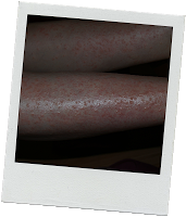 Mis principes llegaron, pero no sin trabajo