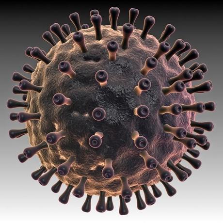 HSV-1 o la fábrica del virus de la calentura…