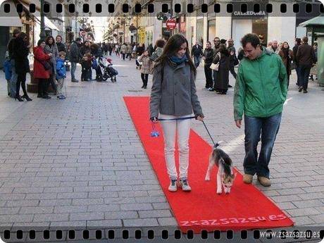 ENERO-RED CARPET