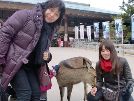 Miyajima/宮島観光