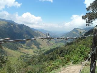 Salento (Colombia) - En el eje cafetero y el Valle de Cocora