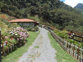 Salento (Colombia) - En el eje cafetero y el Valle de Cocora