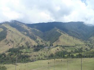 Salento (Colombia) - En el eje cafetero y el Valle de Cocora