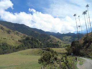 Salento (Colombia) - En el eje cafetero y el Valle de Cocora