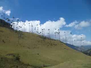 Salento (Colombia) - En el eje cafetero y el Valle de Cocora