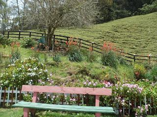 Salento (Colombia) - En el eje cafetero y el Valle de Cocora