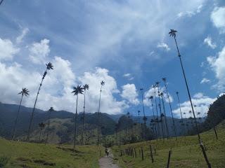 Salento (Colombia) - En el eje cafetero y el Valle de Cocora